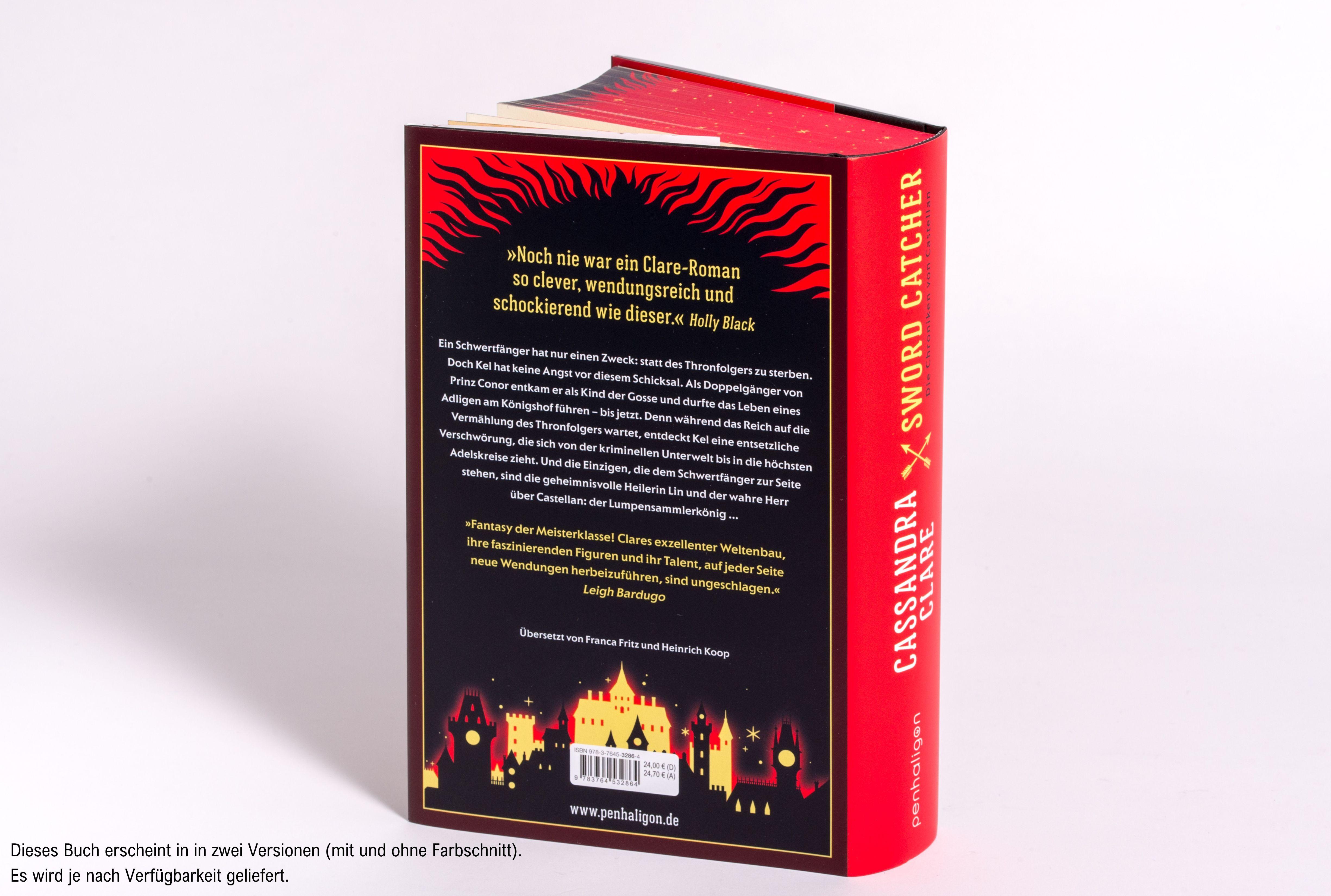 Beispielinhalt (Bild) Sword Catcher - Die Chroniken von Castellan