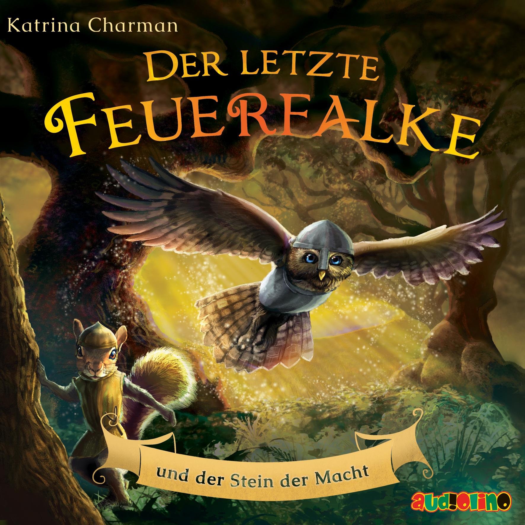 Vorderes Coverbild Der letzte Feuerfalke und der Stein der Macht