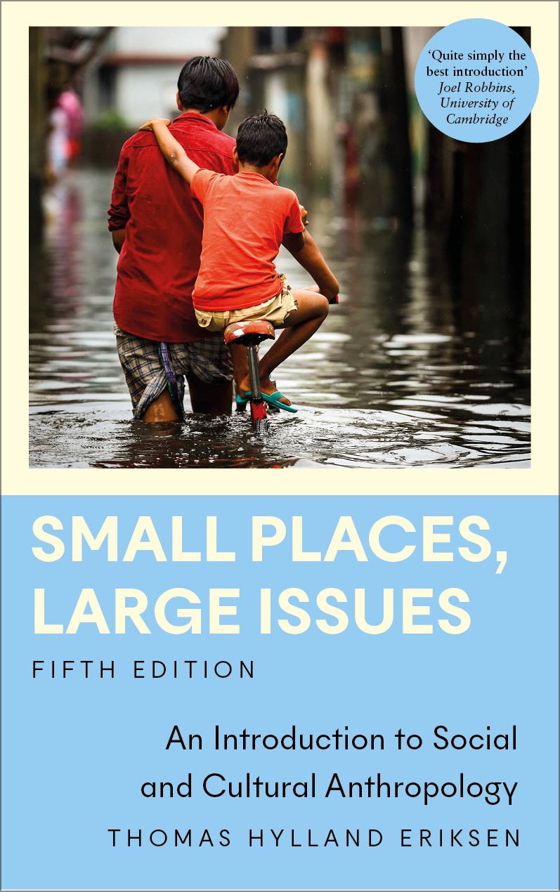 Vorderes Coverbild Small Places, Large Issues