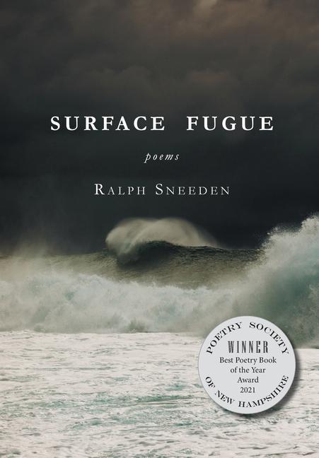 Vorderes Coverbild Surface Fugue