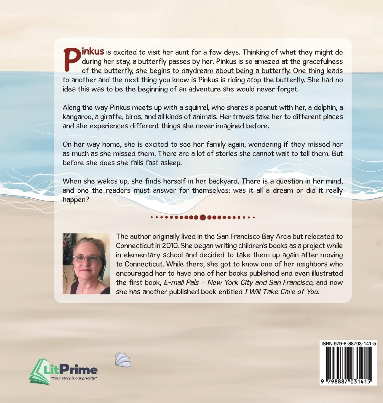 Rückseitencover The Adventure of Pinkus MaGee