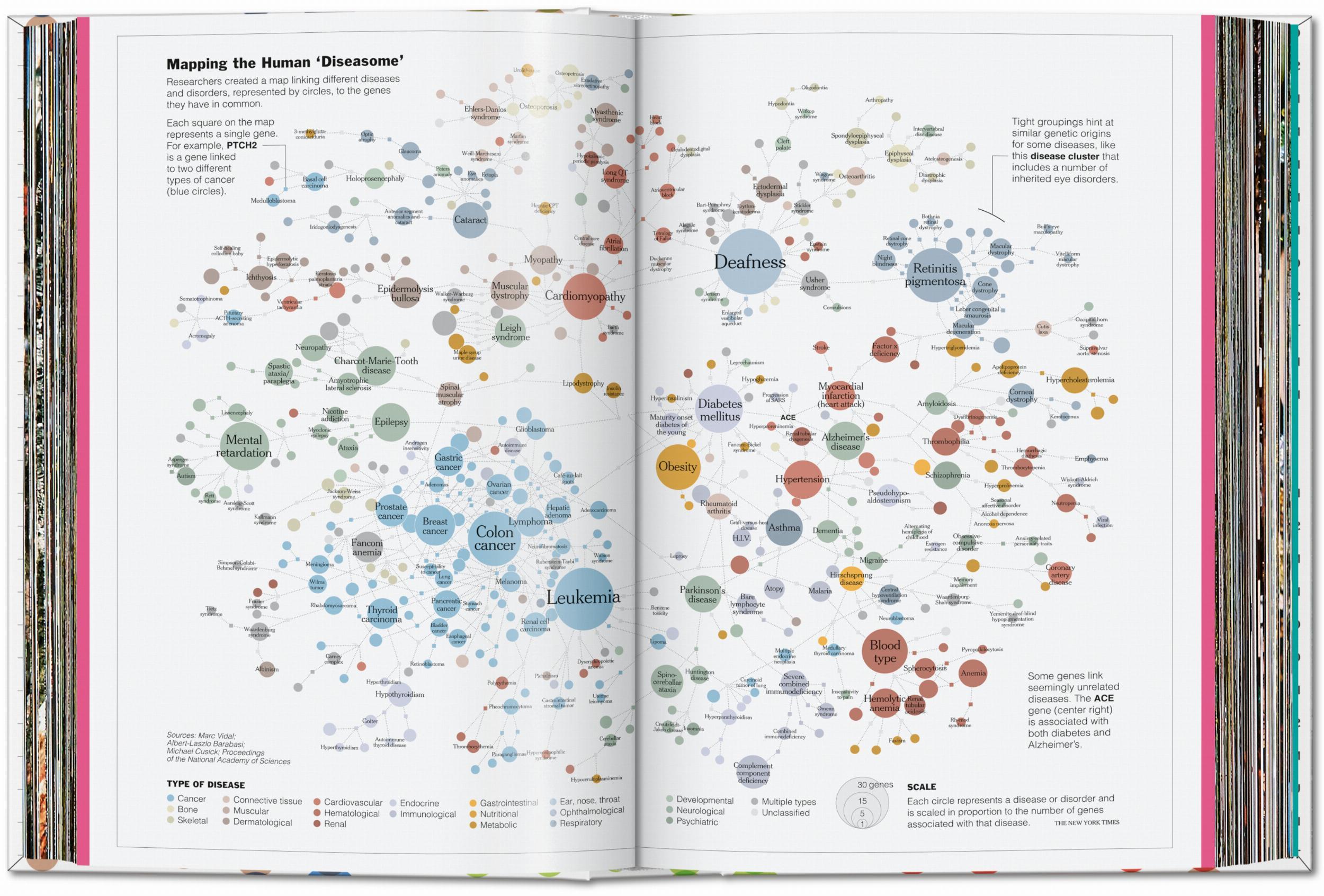 Beispielinhalt (Bild) Understanding the World. The Atlas of Infographics