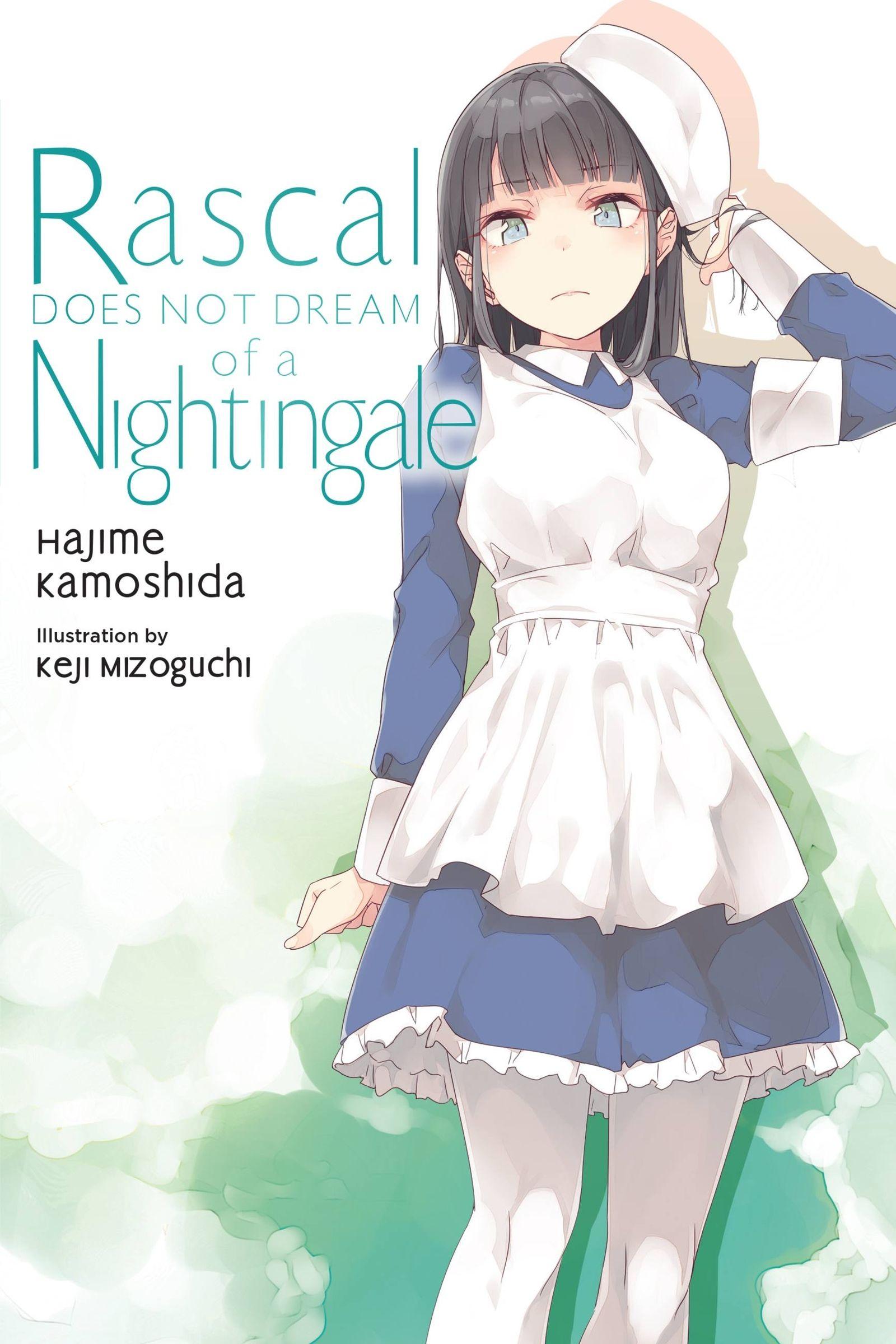 Vorderes Coverbild Rascal Does Not Dream of a Nightingale (Light Novel)