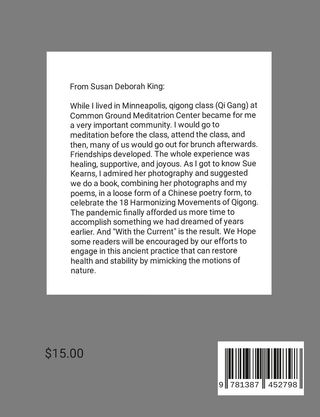 Rückseitencover With the Current