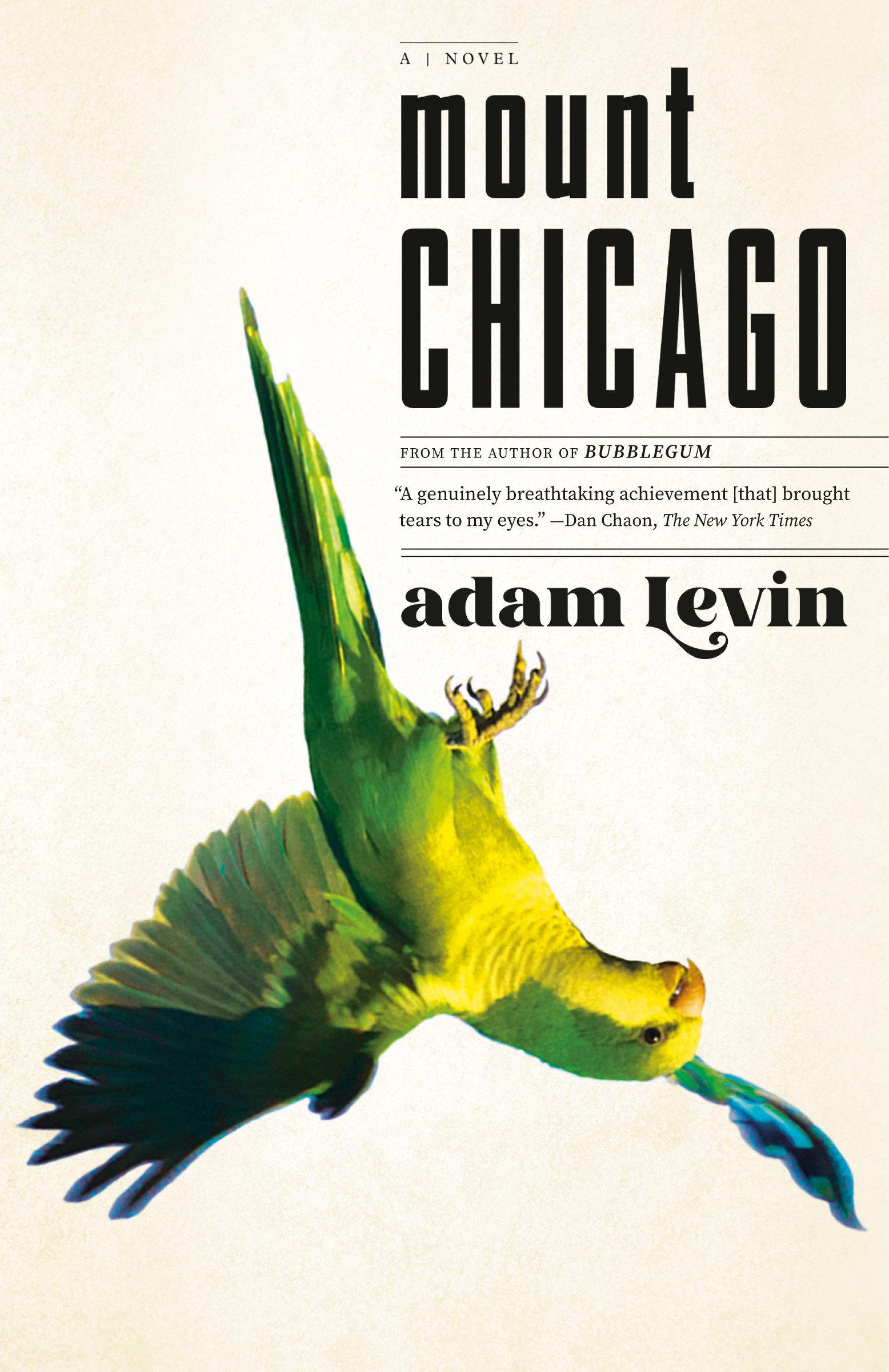 Vorderes Coverbild Mount Chicago