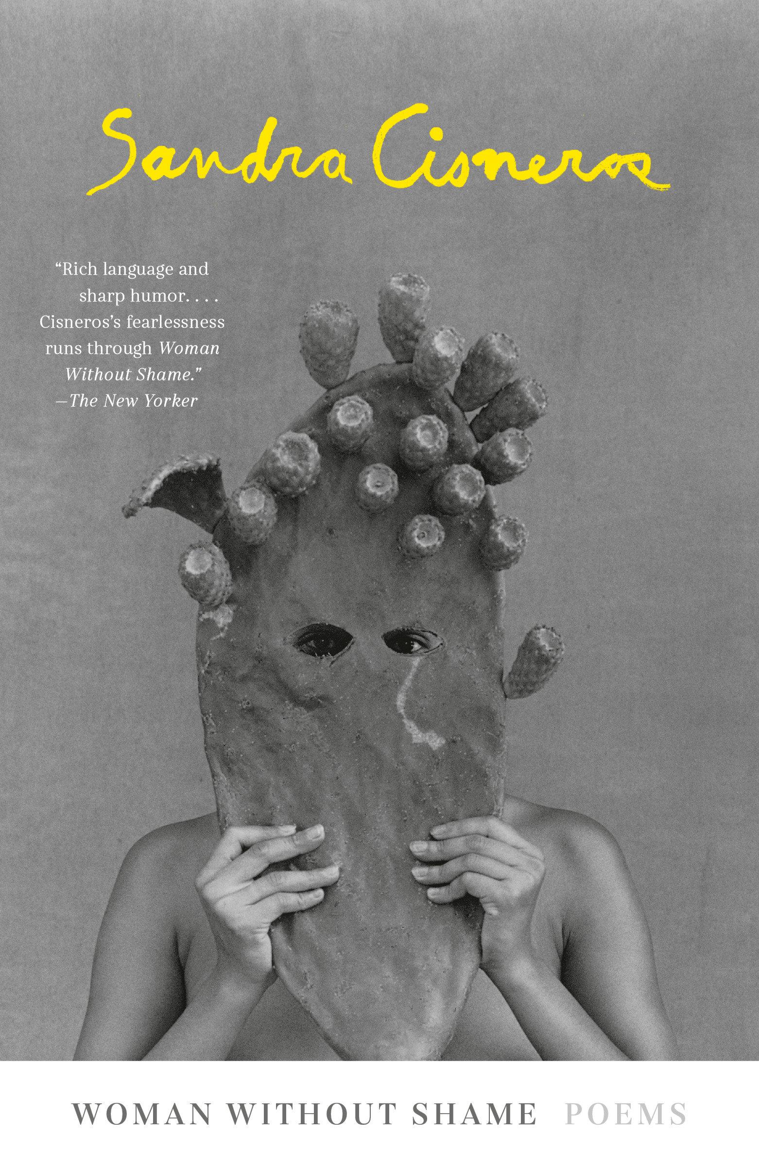 Vorderes Coverbild Woman Without Shame