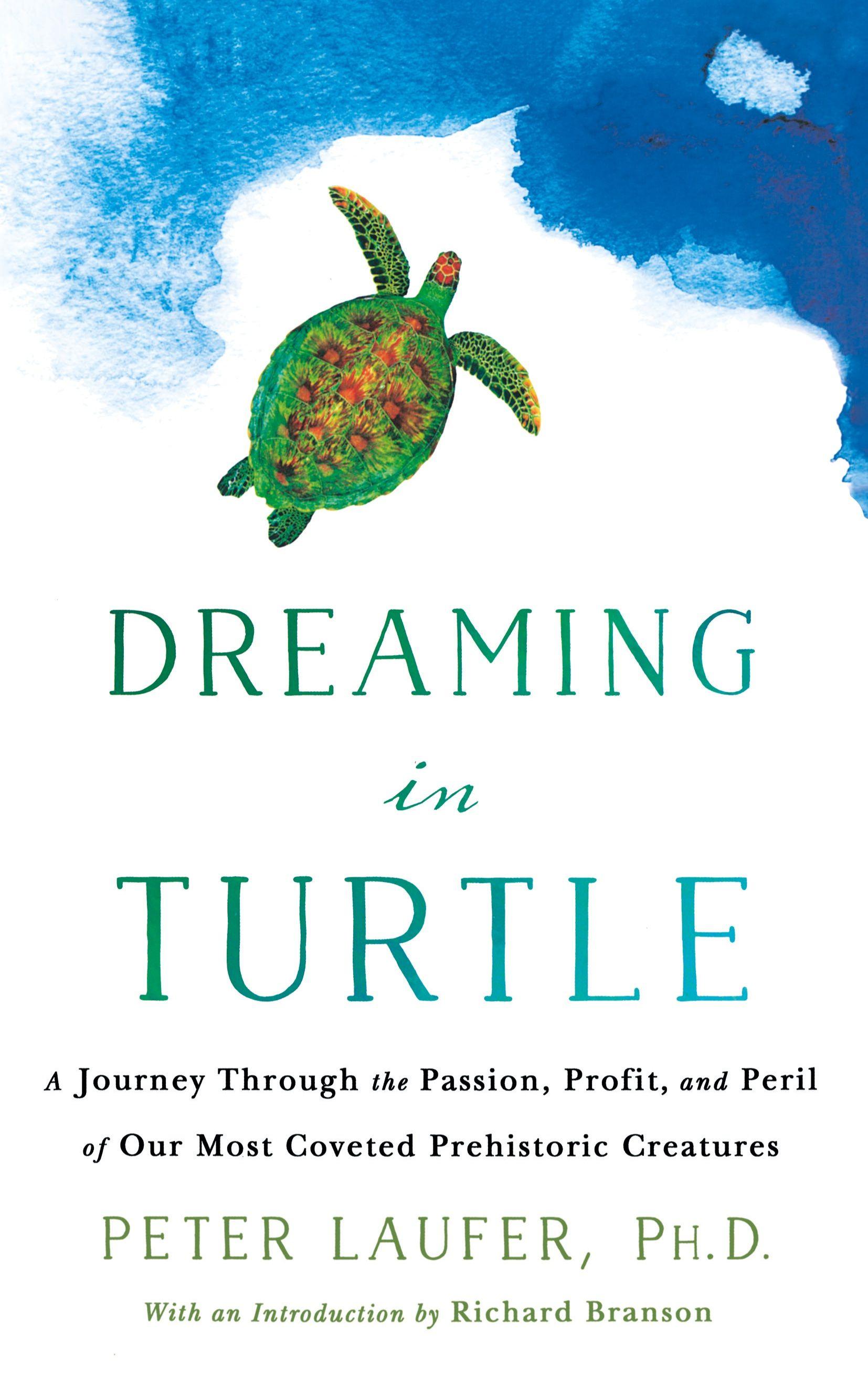 Vorderes Coverbild Dreaming in Turtle