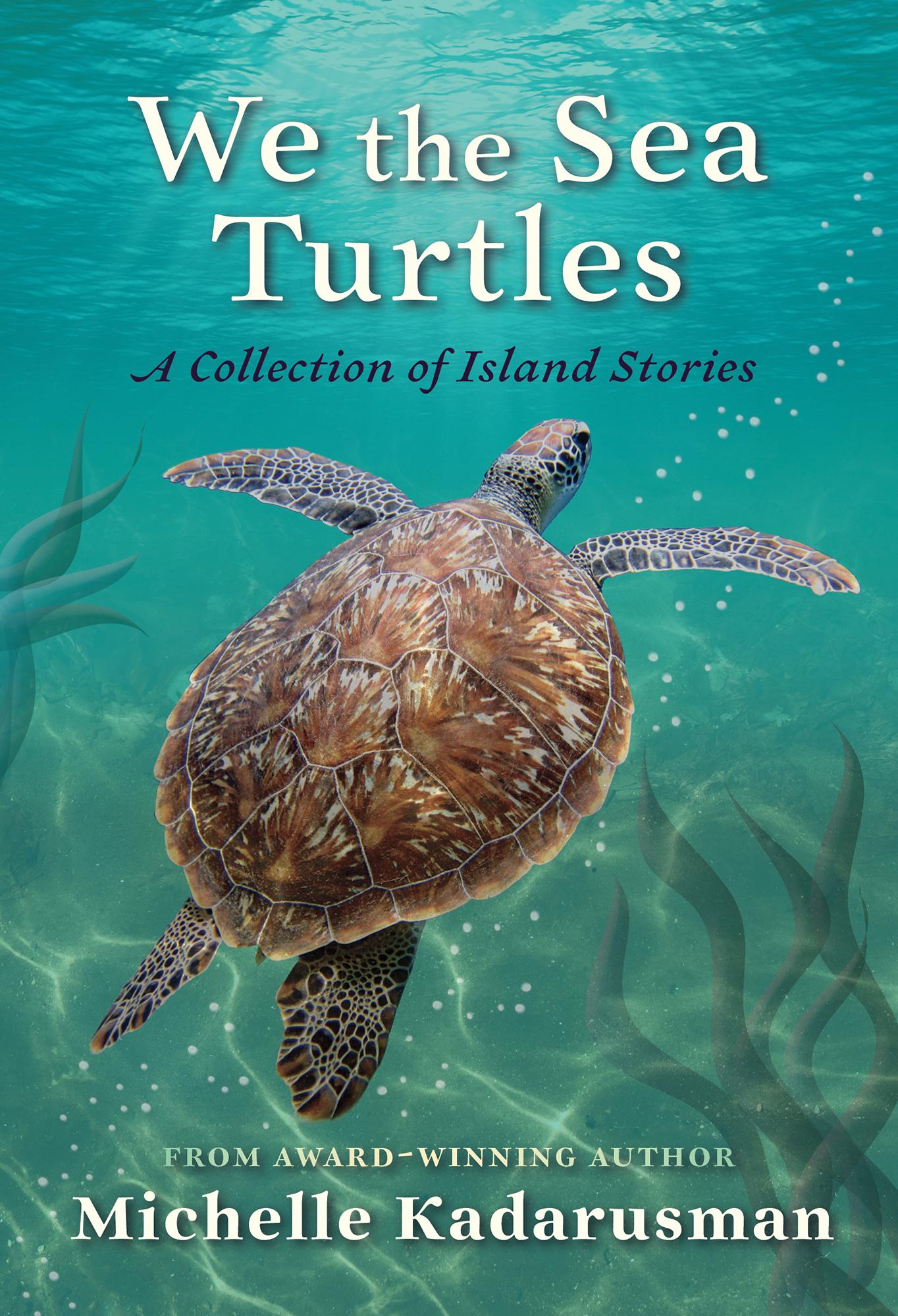 Vorderes Coverbild We the Sea Turtles