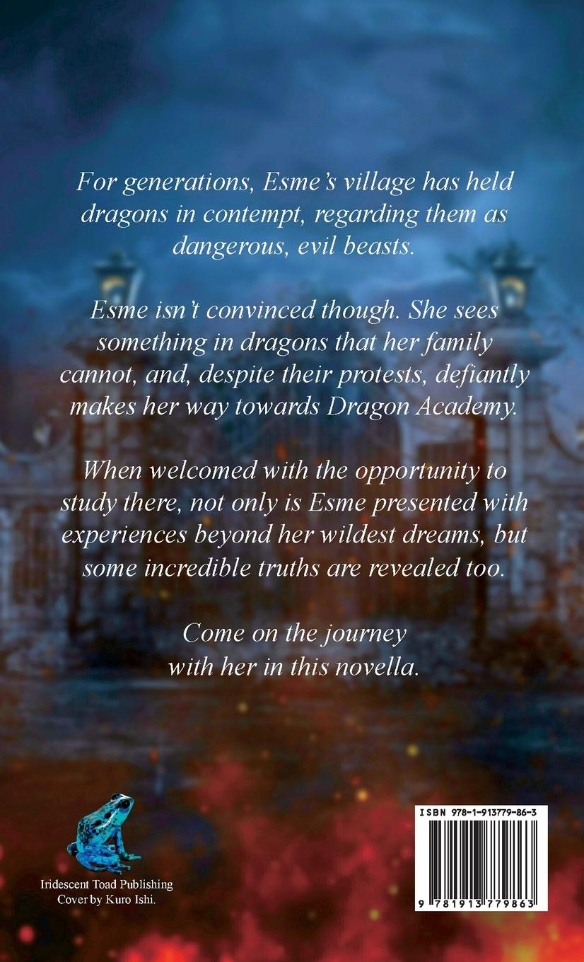 Rückseitencover Dragon Academy