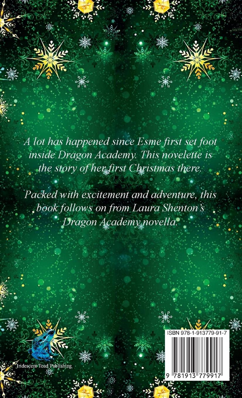 Rückseitencover Dragon Academy Christmas