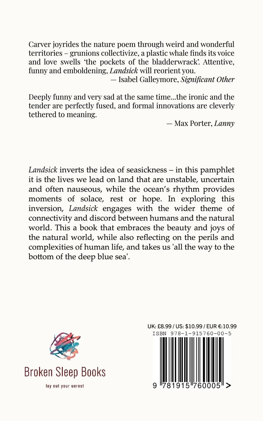 Rückseitencover Landsick