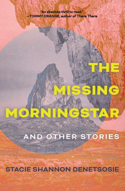 Vorderes Coverbild The Missing Morningstar