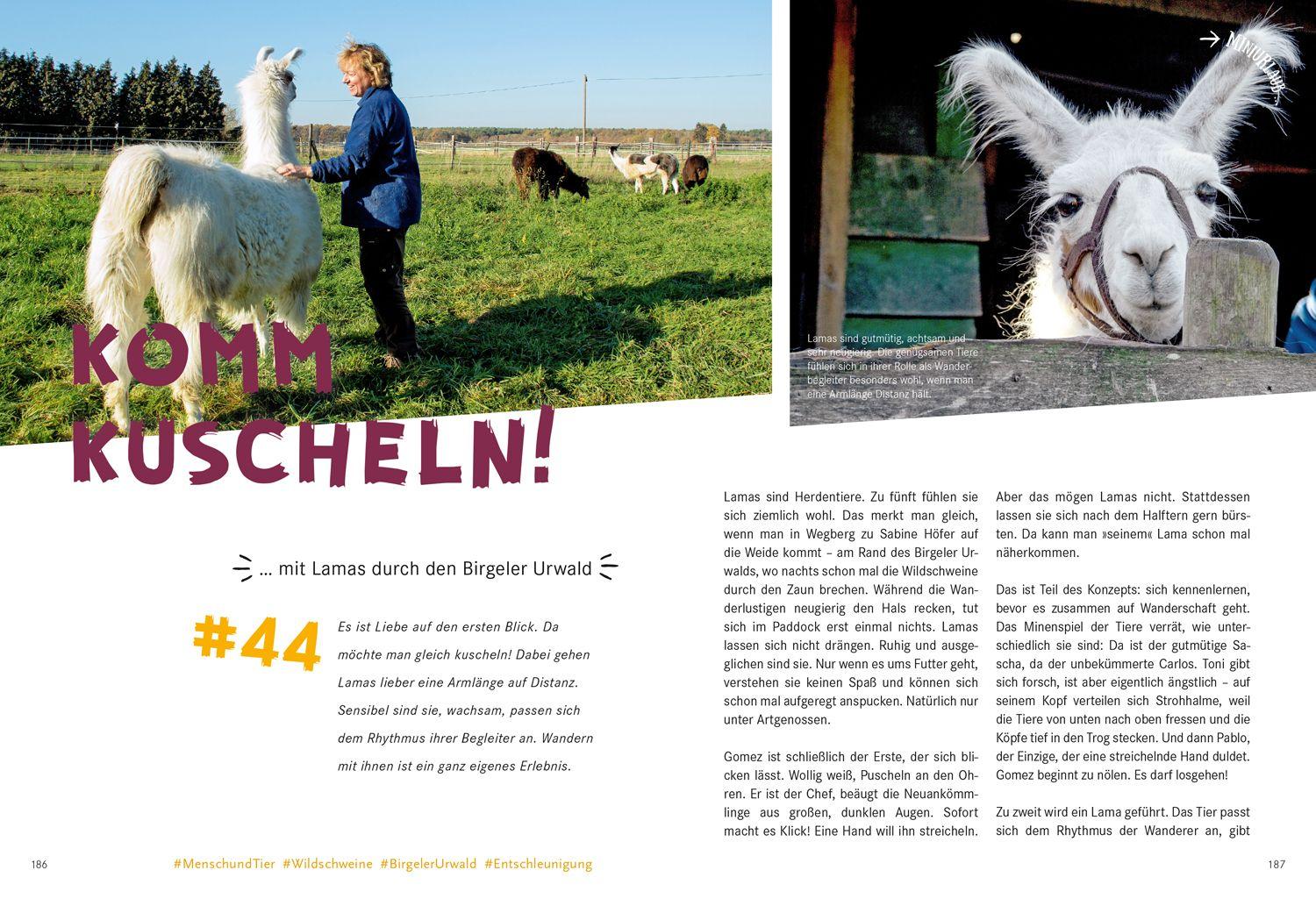 Beispielinhalt (Bild) 52 kleine & große Eskapaden am Niederrhein