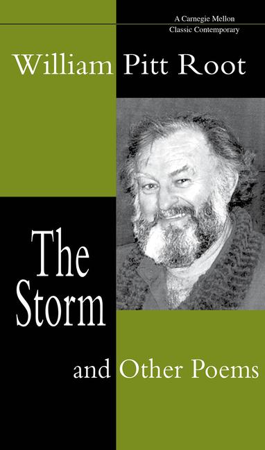Vorderes Coverbild The Storm and Other Poems