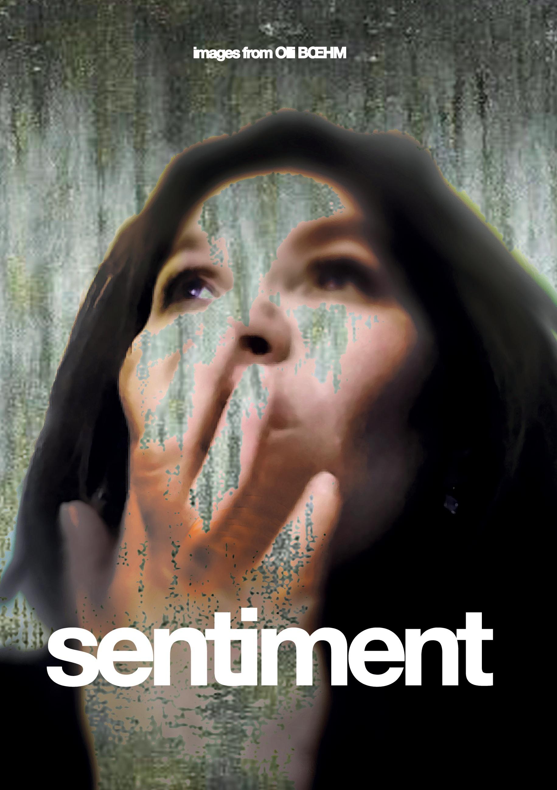 Vorderes Coverbild sentiment