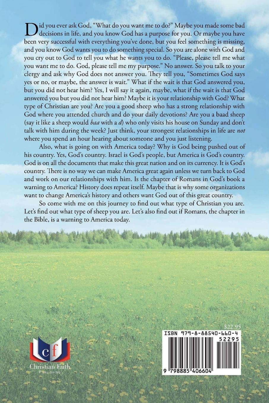 Rückseitencover What Type of Christian Are You