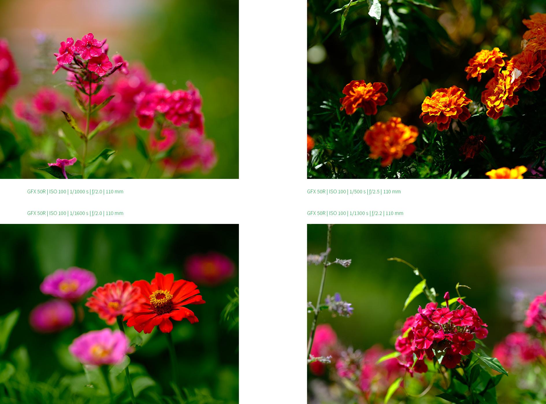 Beispielinhalt (Bild) 33 JPEG-Rezepte für Fujifilm X-Kameras