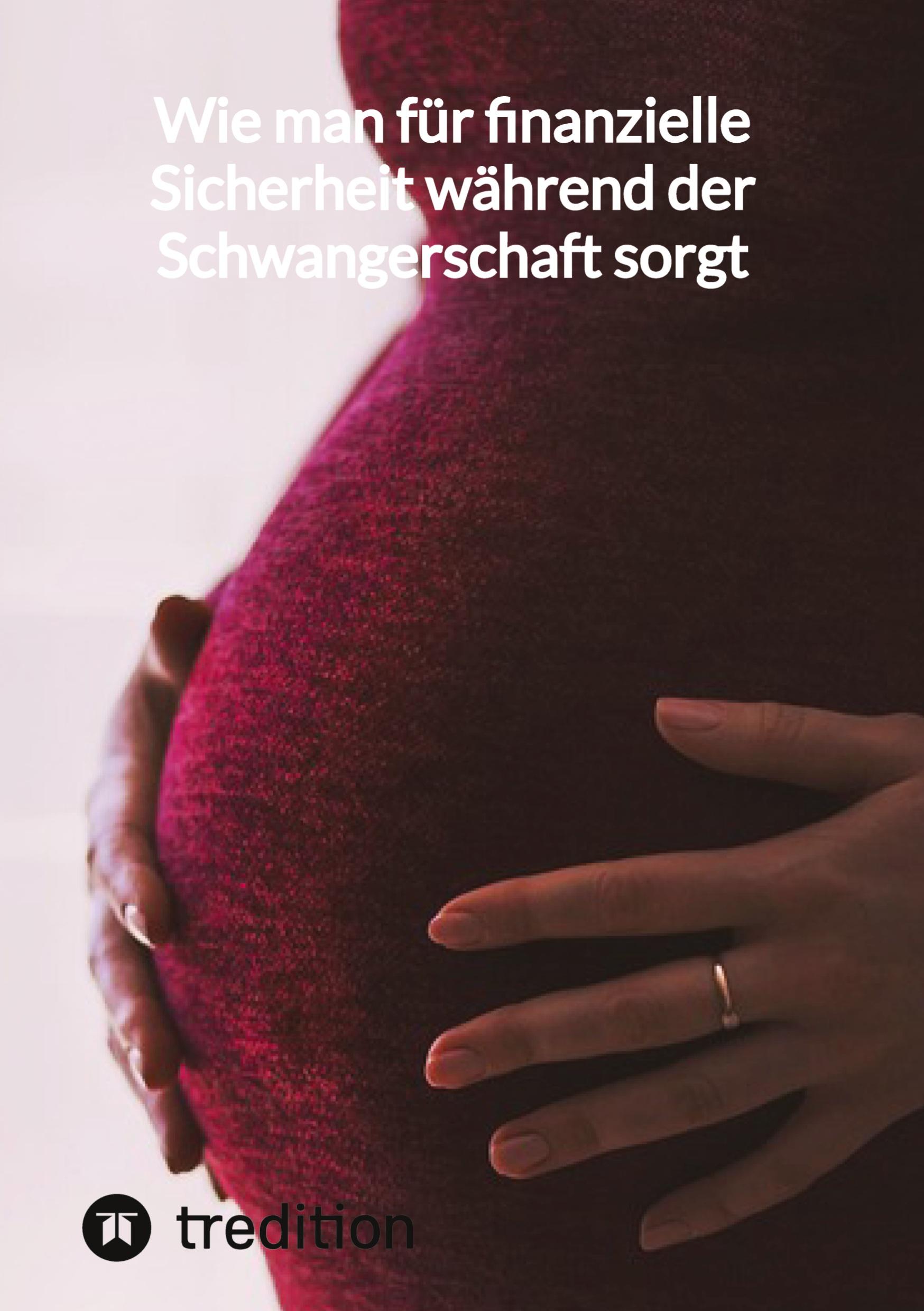 Vorderes Coverbild Wie man für finanzielle Sicherheit während der Schwangerschaft sorgt