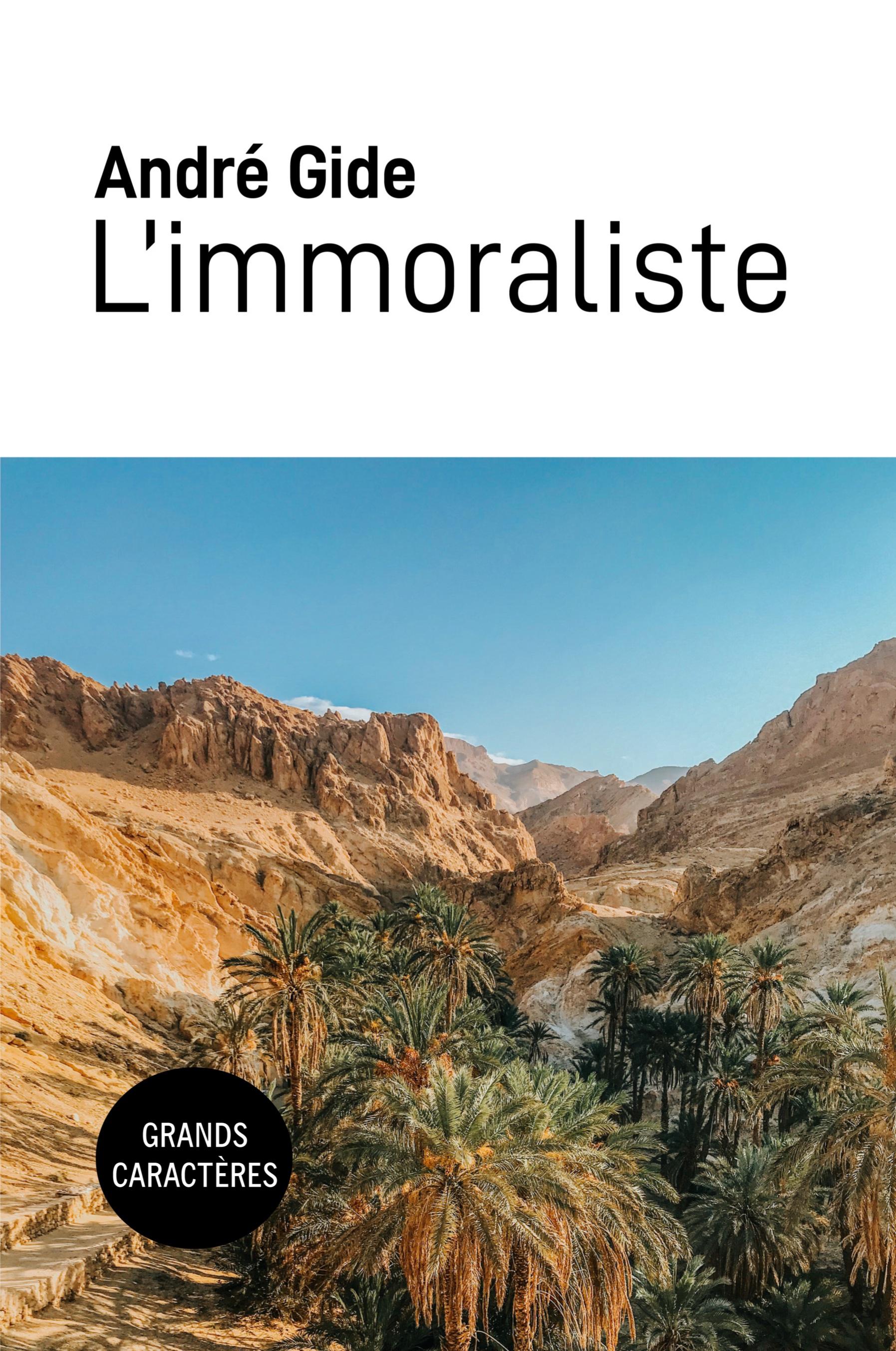 Vorderes Coverbild L'immoraliste