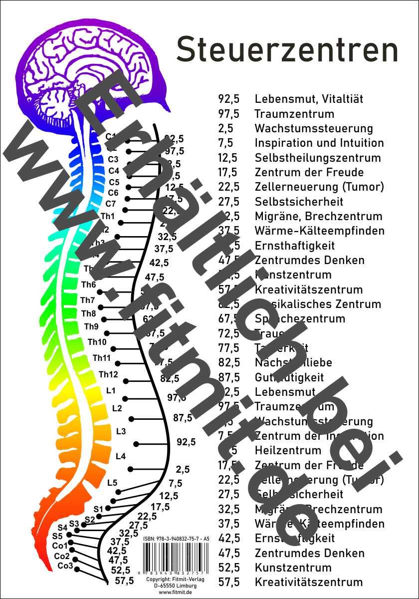 Vorderes Coverbild Steuerzentren Wirbelsäule