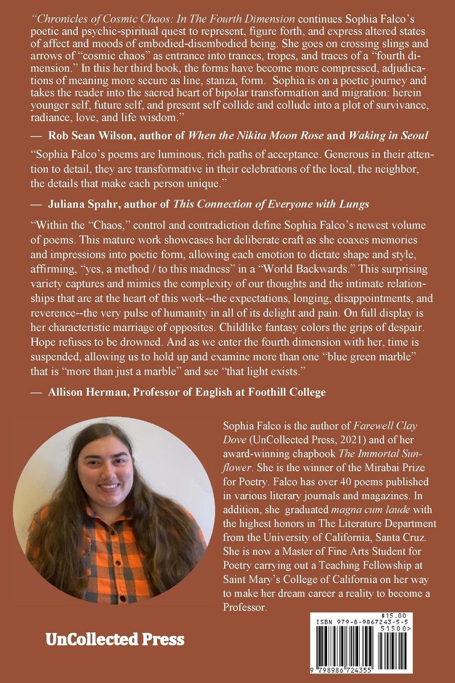 Rückseitencover Chronicles of Cosmic Chaos in The Fourth Dimension