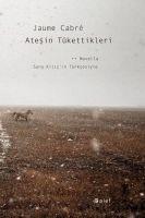 Vorderes Coverbild Atesin Tükettikleri
