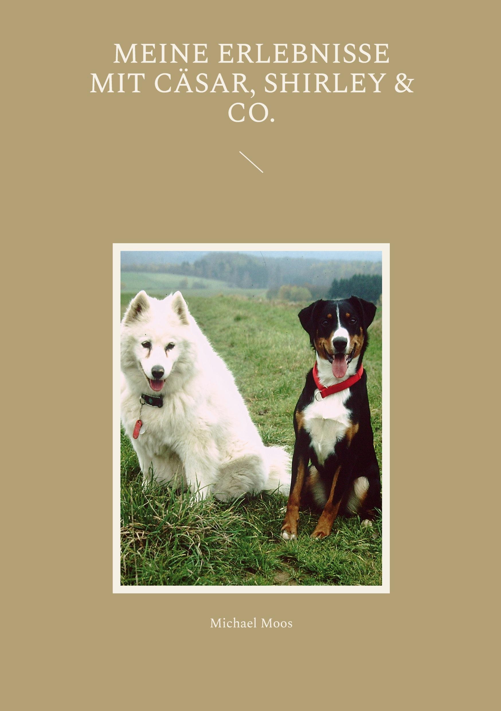 Vorderes Coverbild Meine Erlebnisse mit Cäsar, Shirley & Co.