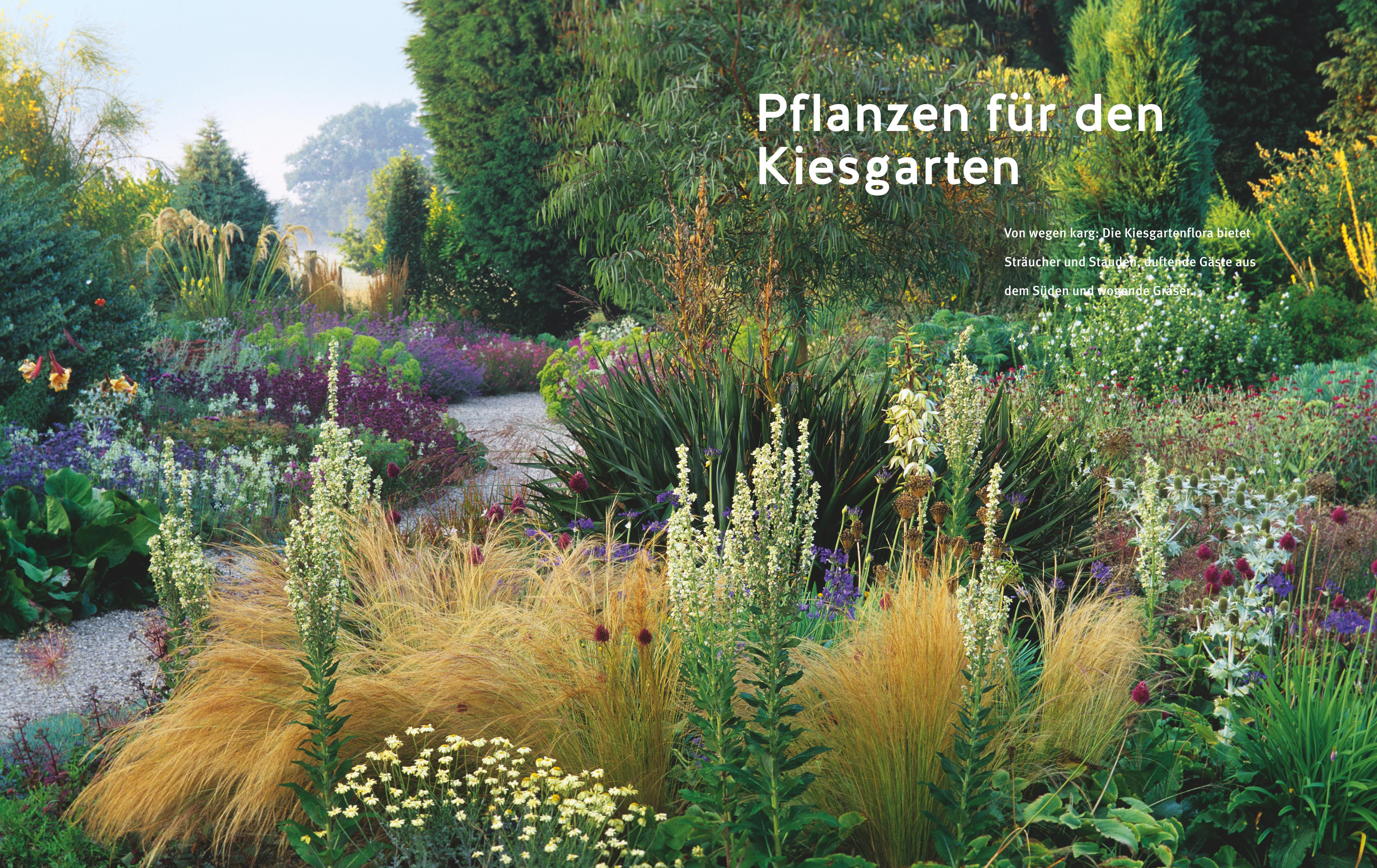 Beispielinhalt (Bild) Blütenpracht ohne Gießen
