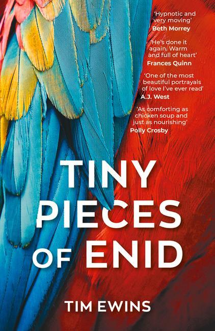 Vorderes Coverbild Tiny Pieces of Enid