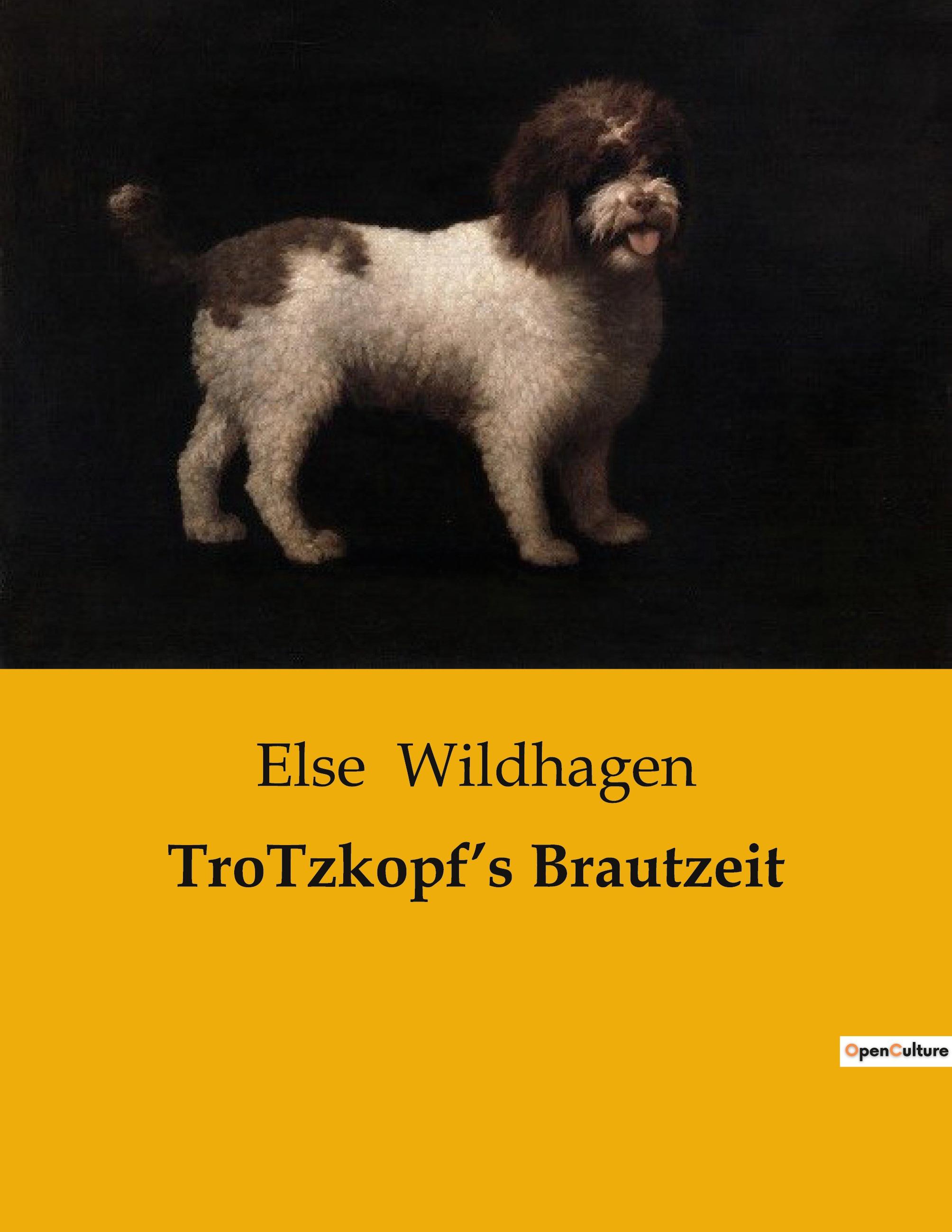 Vorderes Coverbild TroTzkopf's Brautzeit