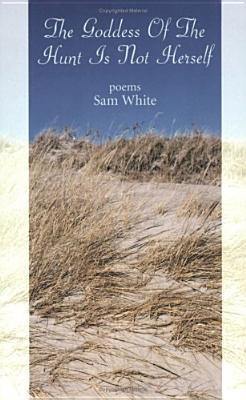 Vorderes Coverbild The Goddess of the Hunt Is Not Herself