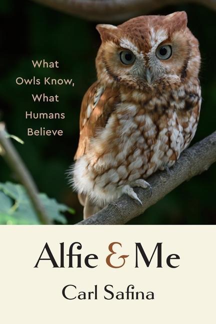 Vorderes Coverbild Alfie and Me
