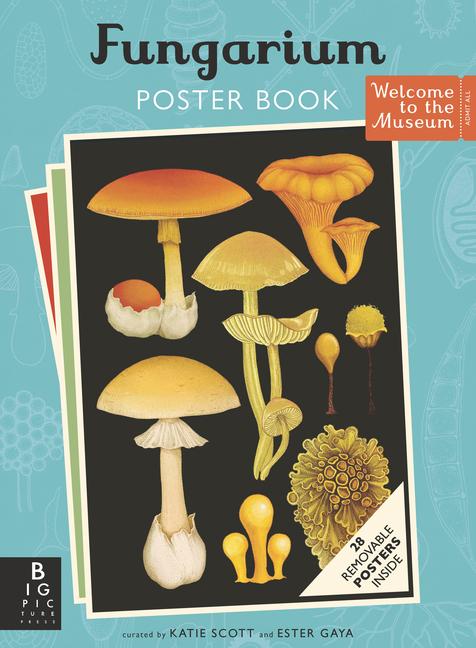 Vorderes Coverbild Fungarium Poster Book