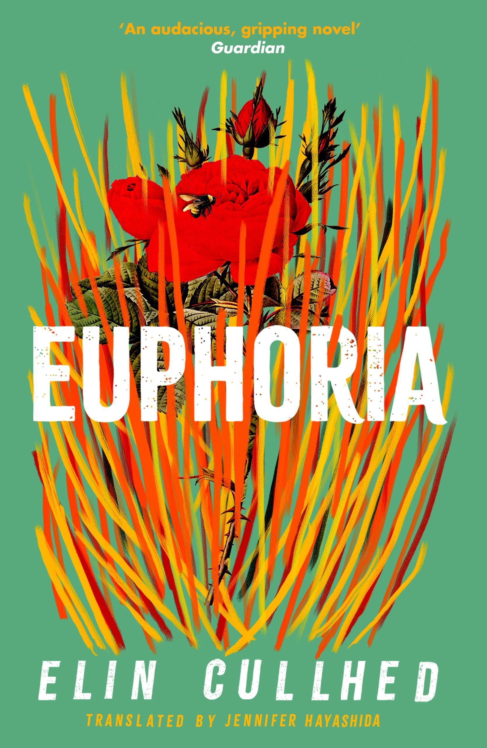 Vorderes Coverbild Euphoria