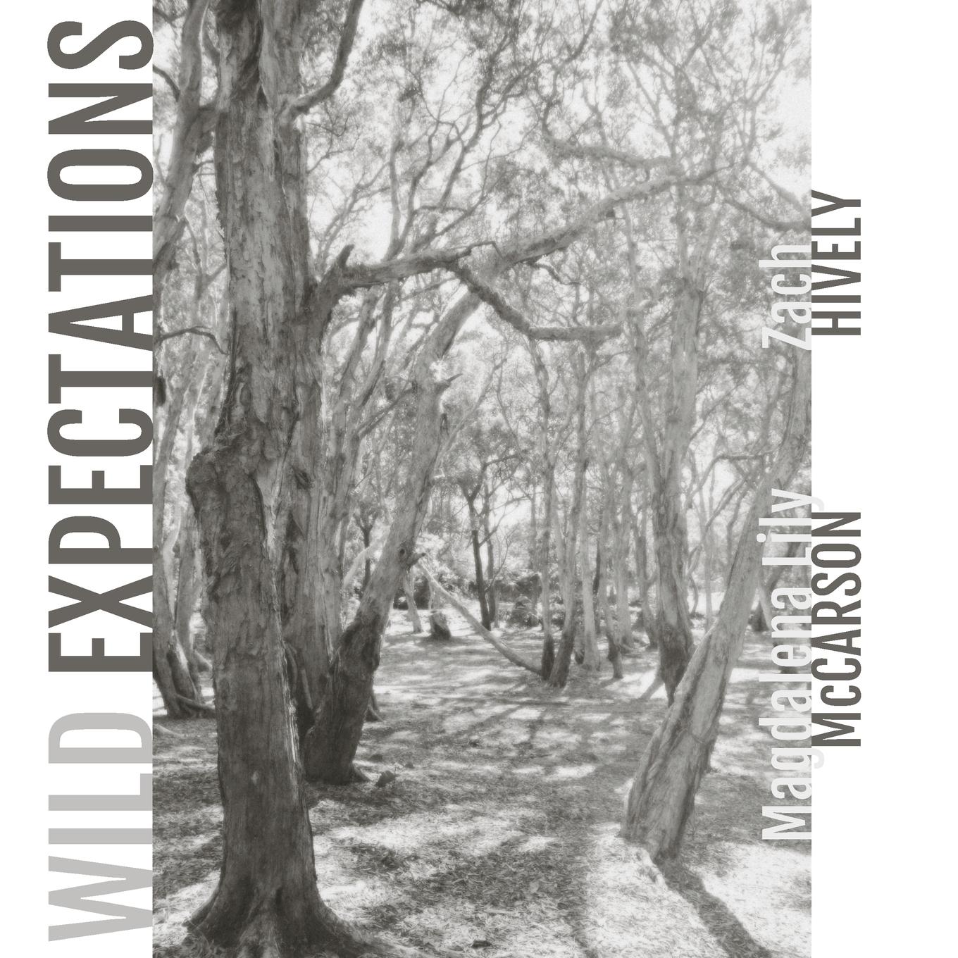 Vorderes Coverbild Wild Expectations