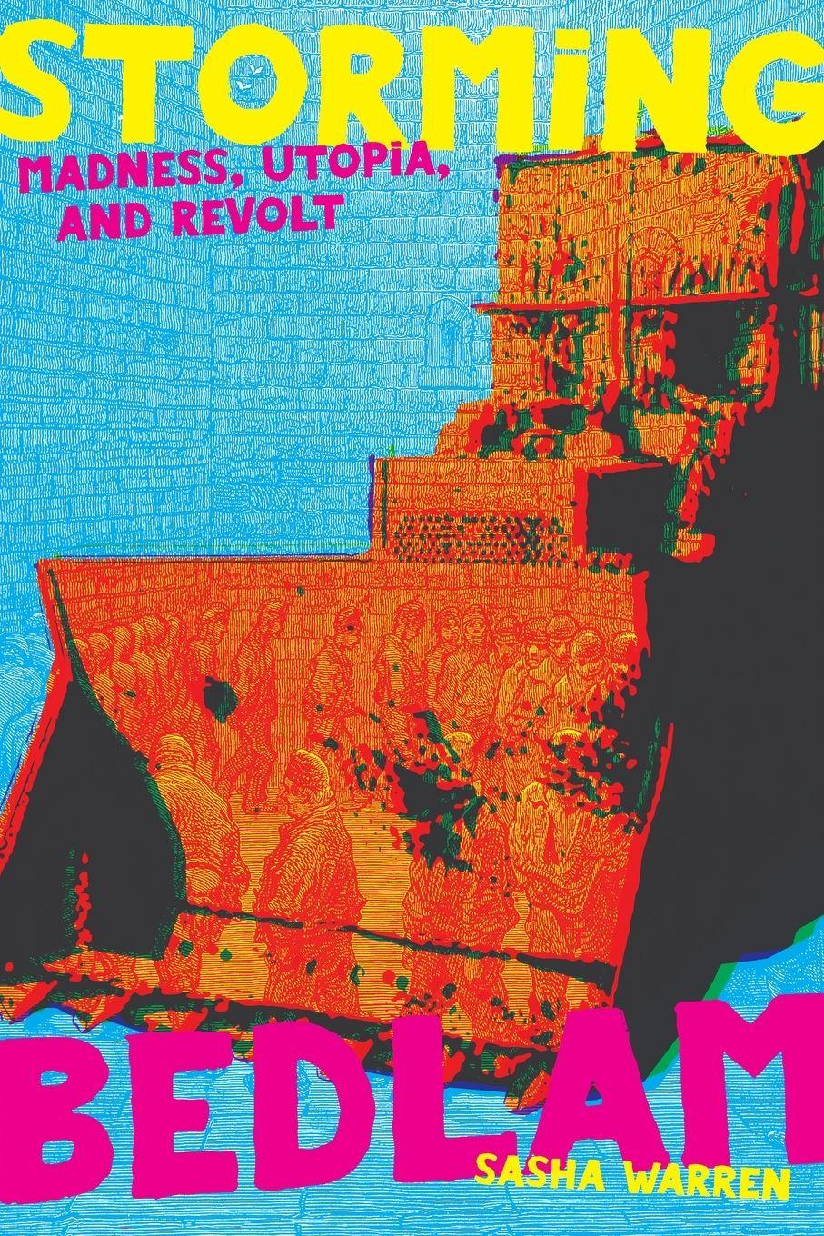 Vorderes Coverbild Storming Bedlam