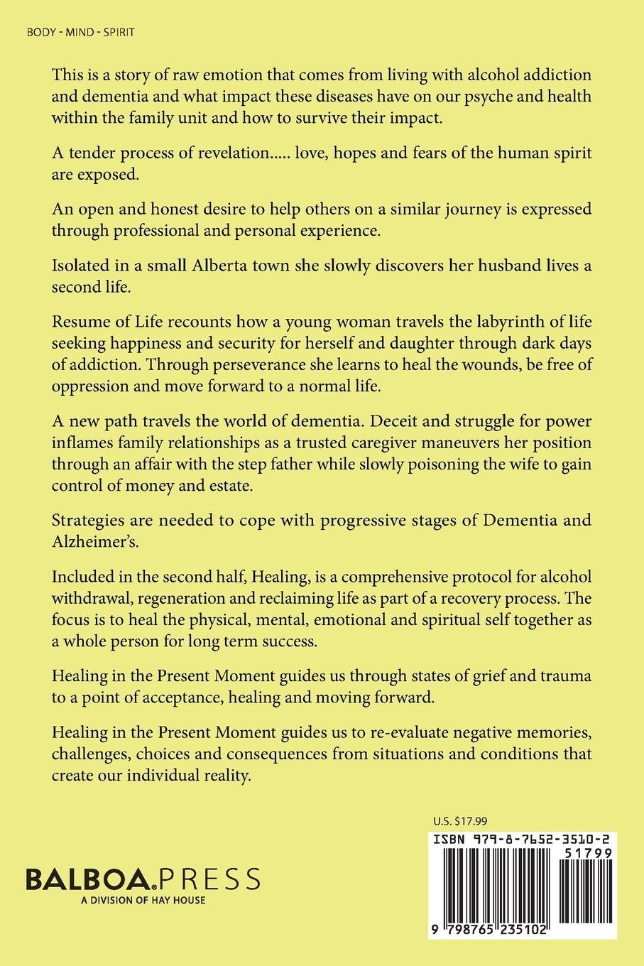 Rückseitencover Healing in the Present Moment