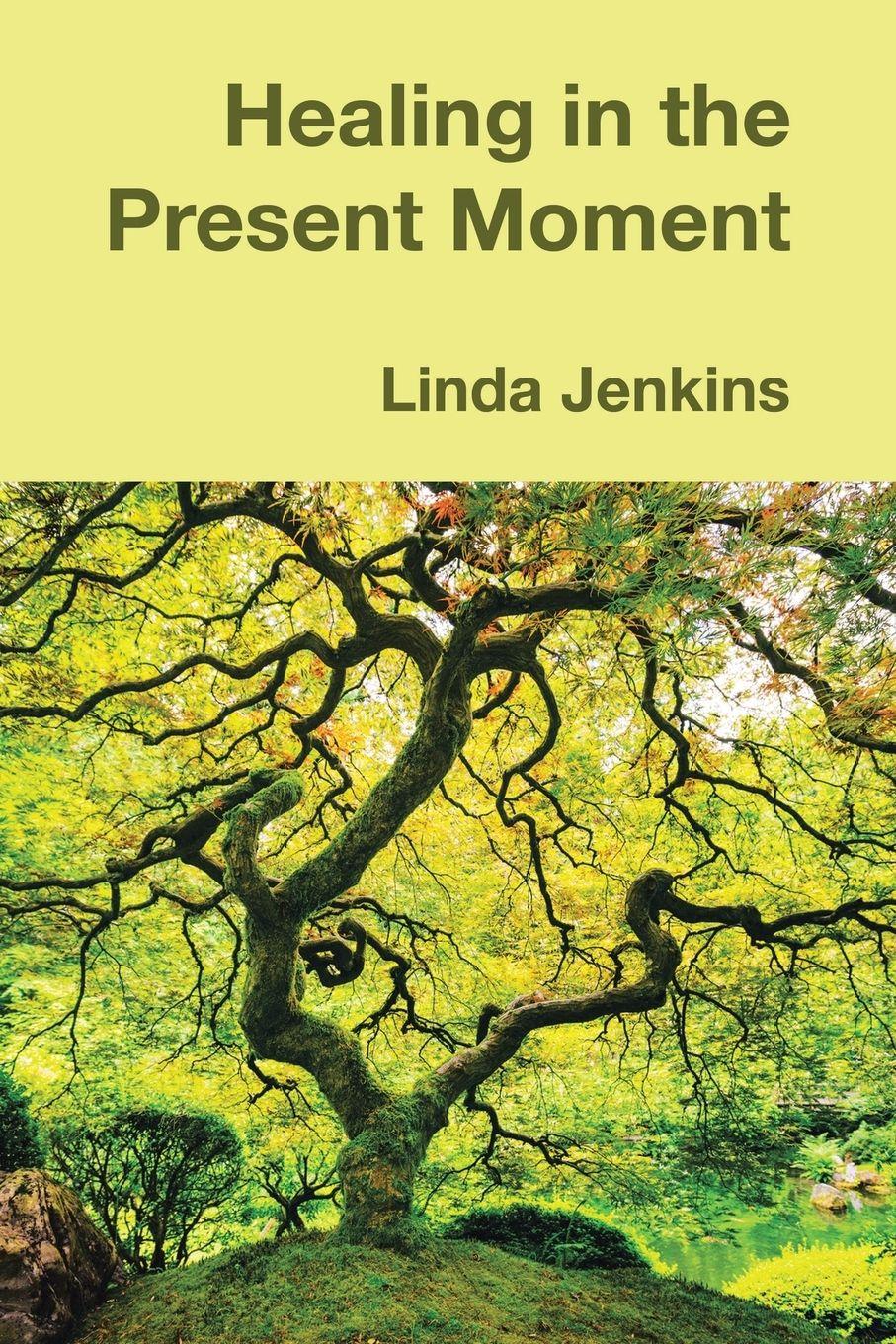 Vorderes Coverbild Healing in the Present Moment