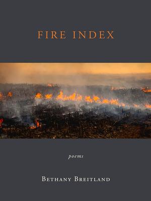 Vorderes Coverbild Fire Index