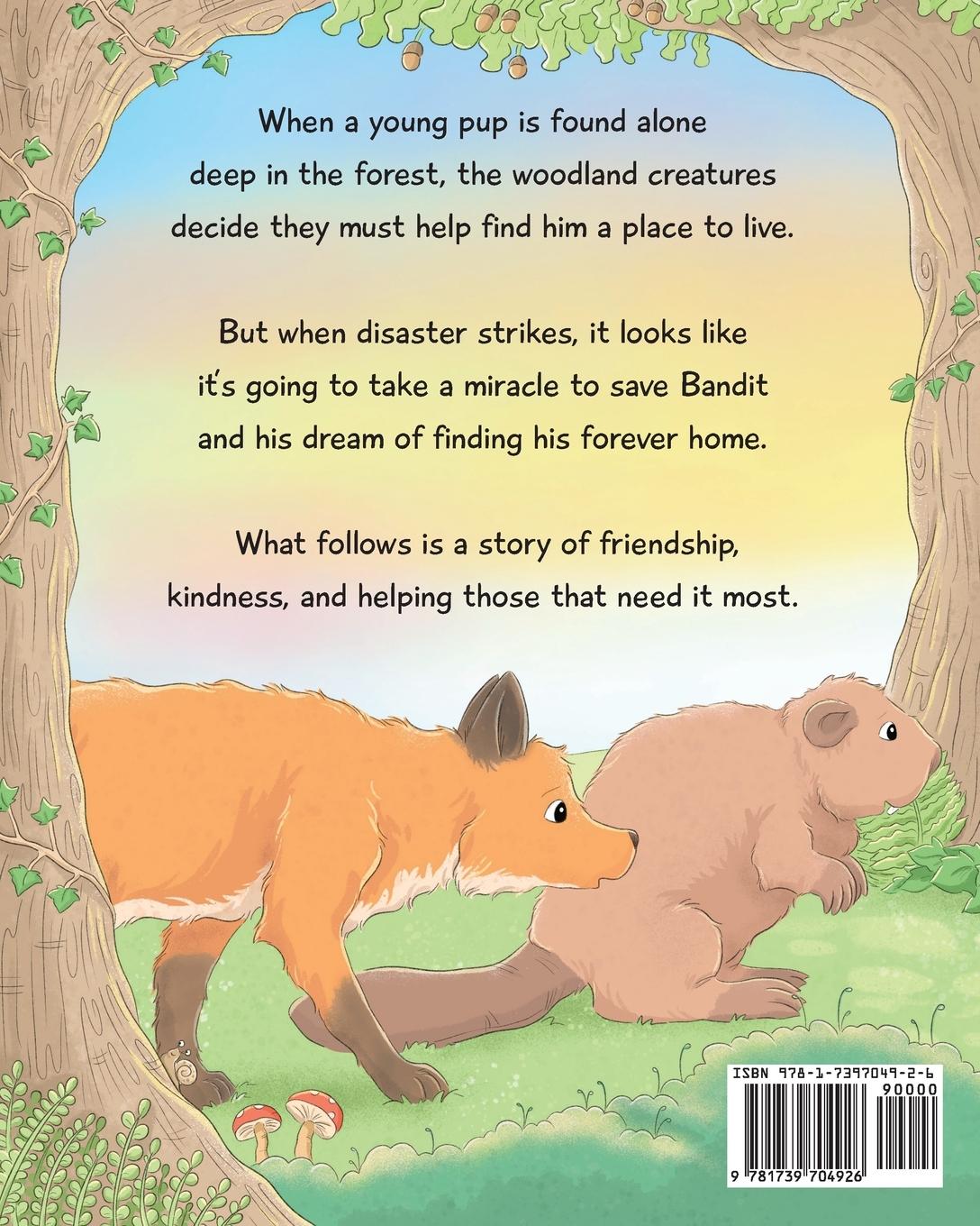 Rückseitencover Bandit - Lost in the Forest