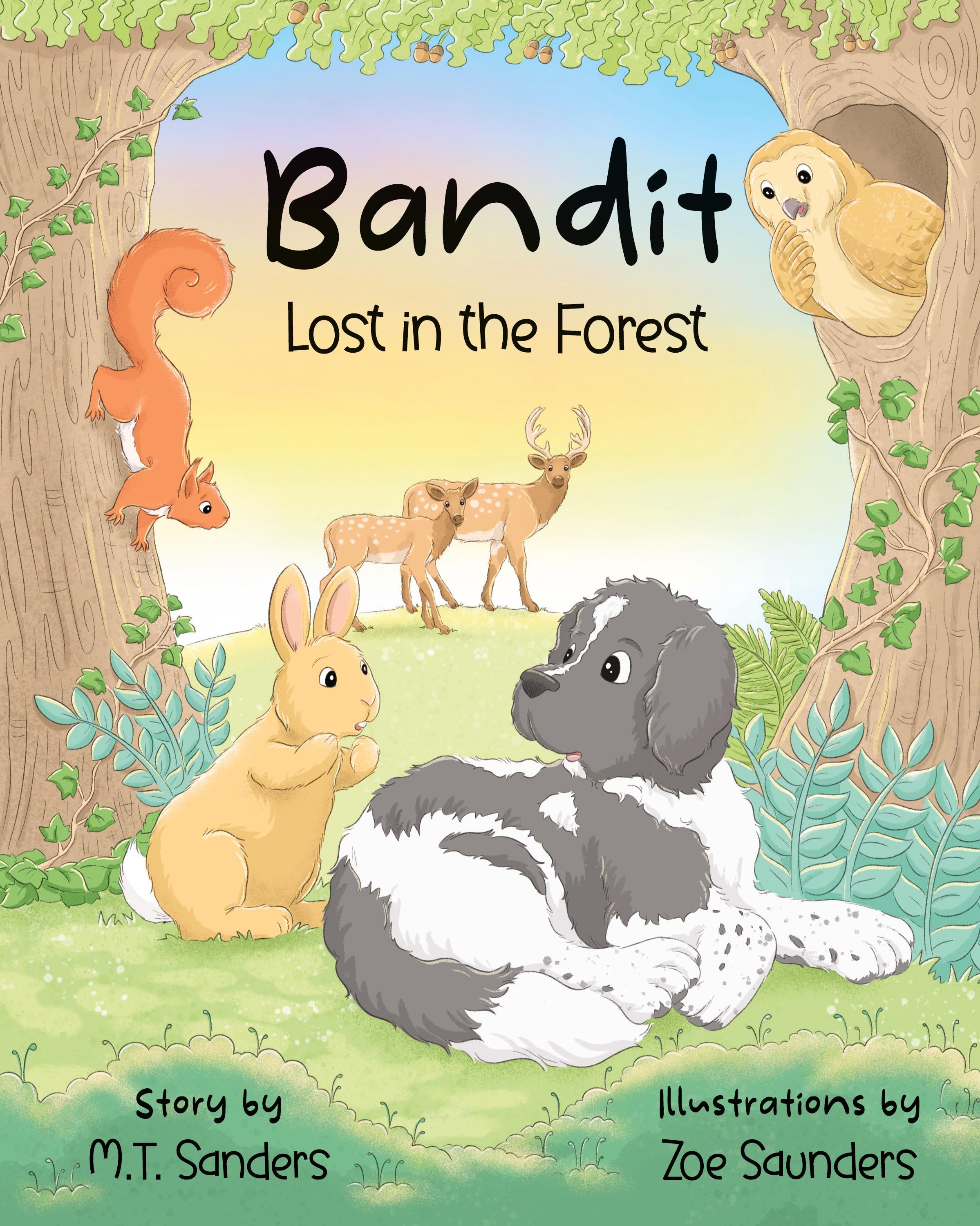 Vorderes Coverbild Bandit - Lost in the Forest
