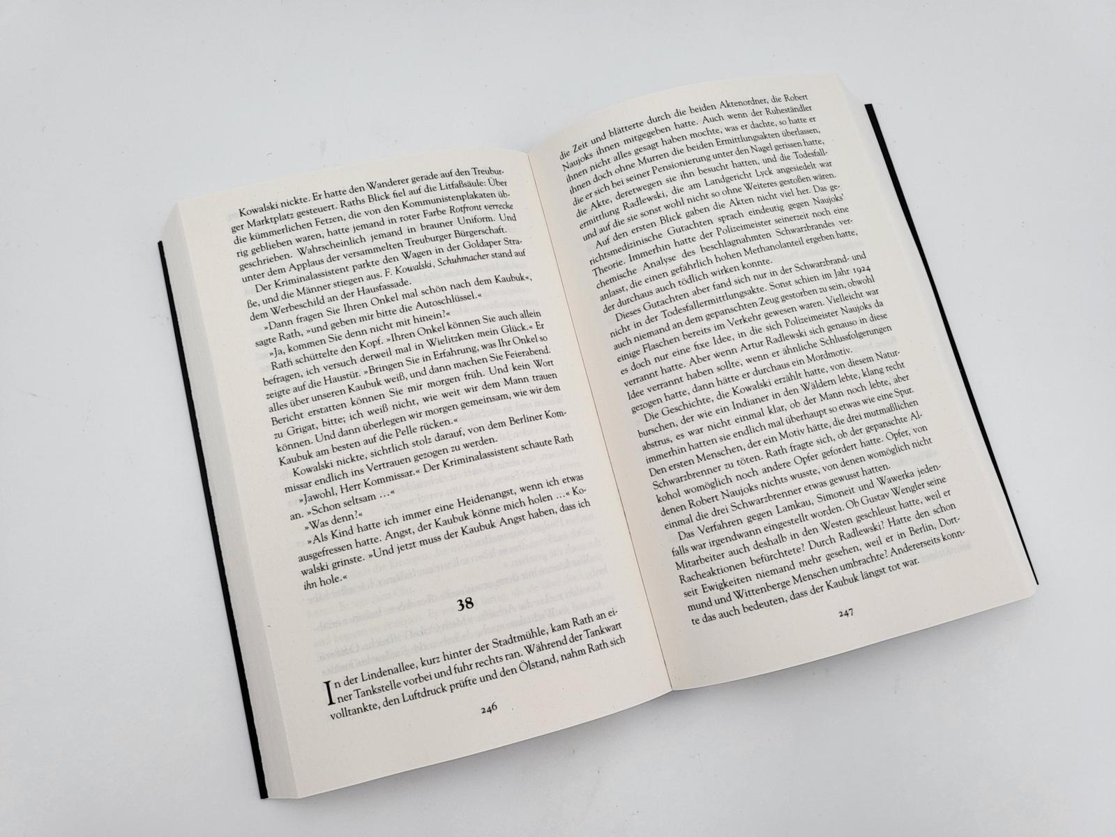 Beispielinhalt (Bild) Die Akte Vaterland