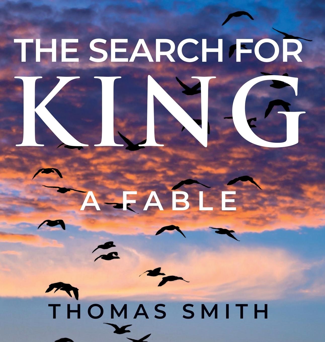 Vorderes Coverbild The Search for King