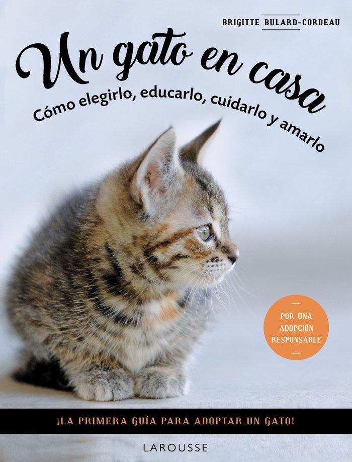 Vorderes Coverbild Un gato en casa : cómo elegirlo, educarlo, cuidarlo y amarlo