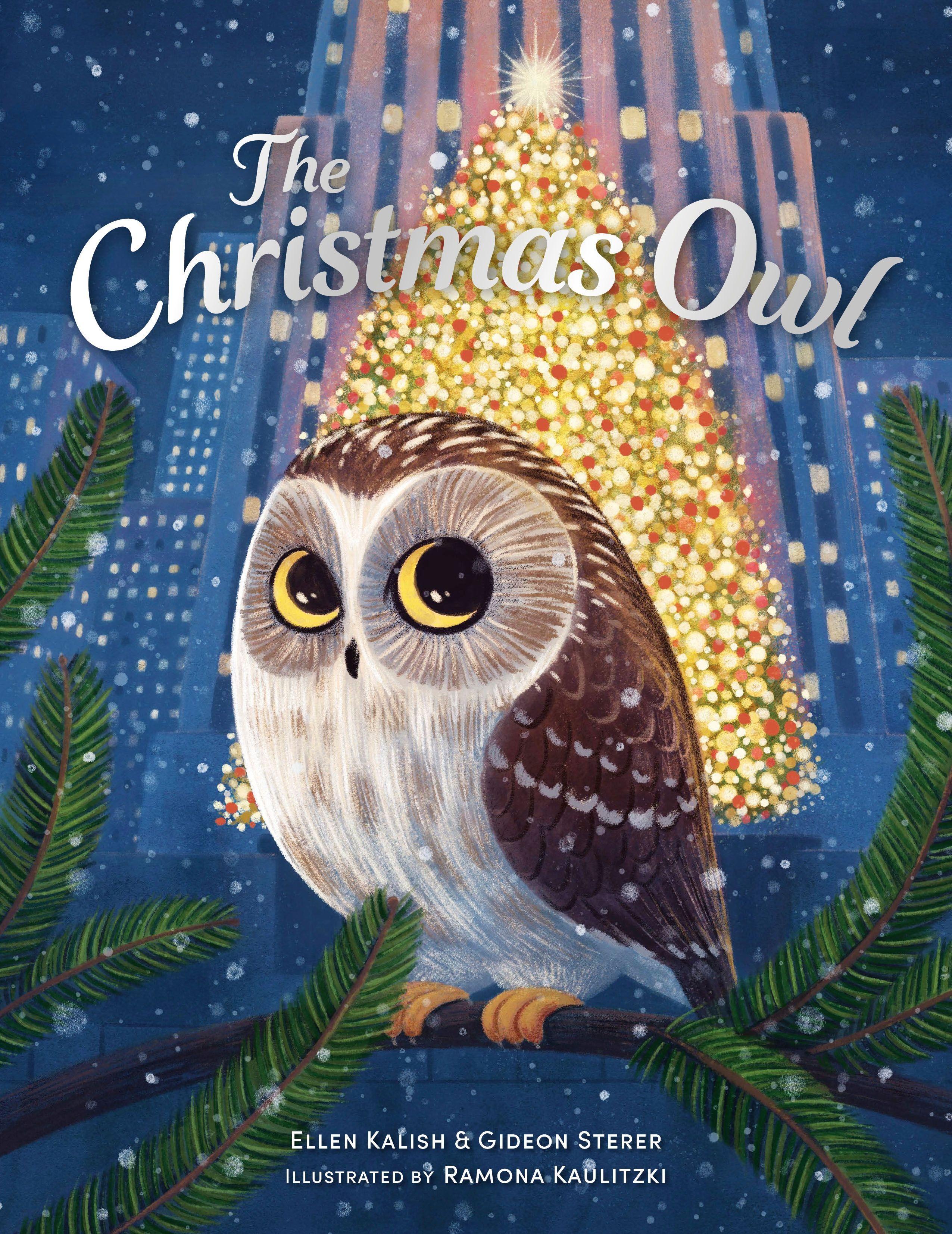 Vorderes Coverbild The Christmas Owl