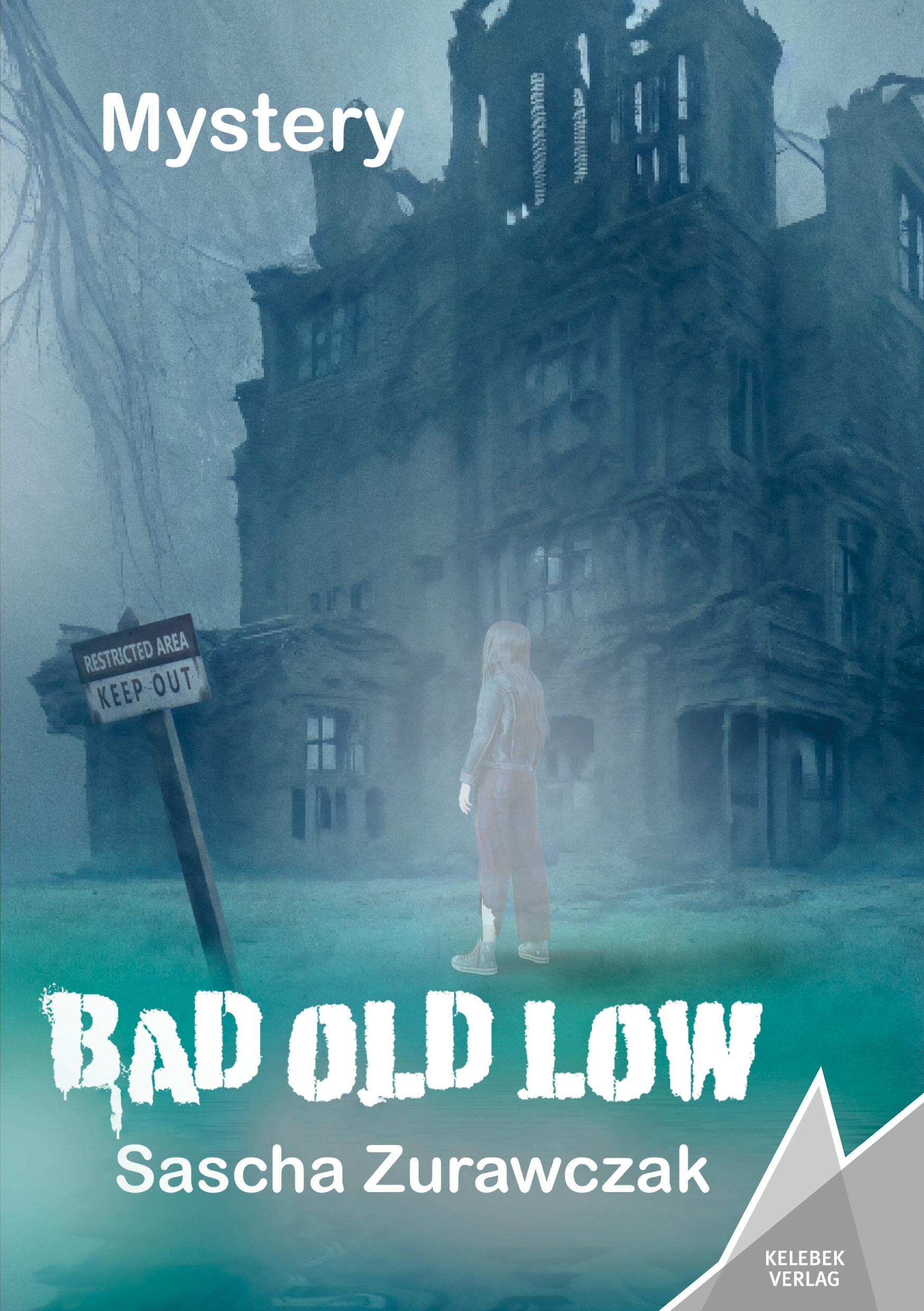 Vorderes Coverbild Bad Old Low