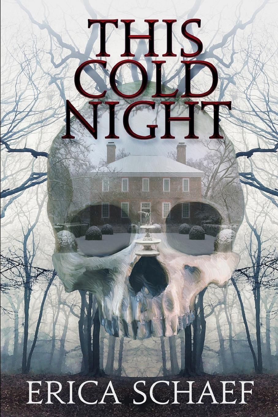 Vorderes Coverbild This Cold Night