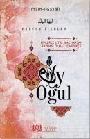 Vorderes Coverbild Eyyühel-Veled Ey Ogul