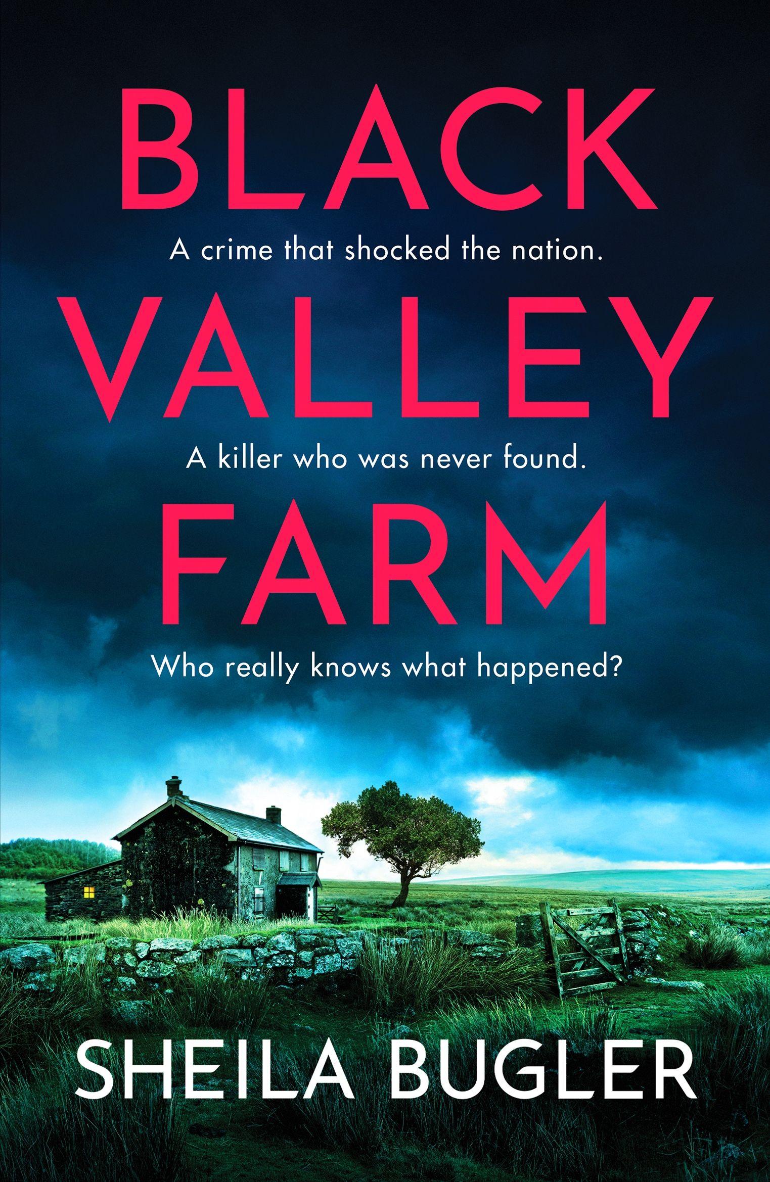 Vorderes Coverbild Black Valley Farm