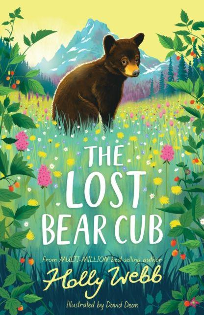 Vorderes Coverbild The Lost Bear Cub